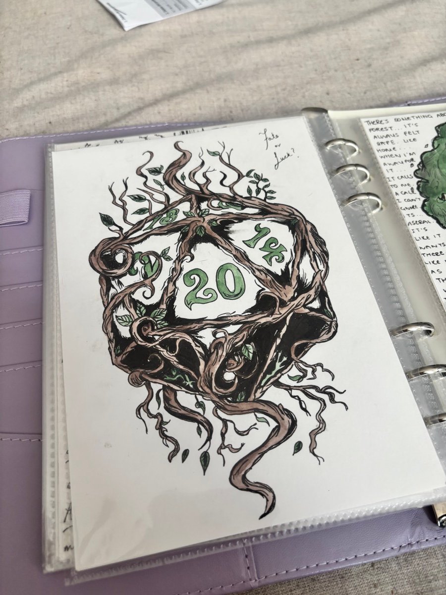 Dungeons and Dragons journal, photo 13